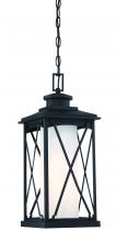 Minka-Lavery 72684-66 - 1 LIGHT CHAIN HUNG OUTDOOR