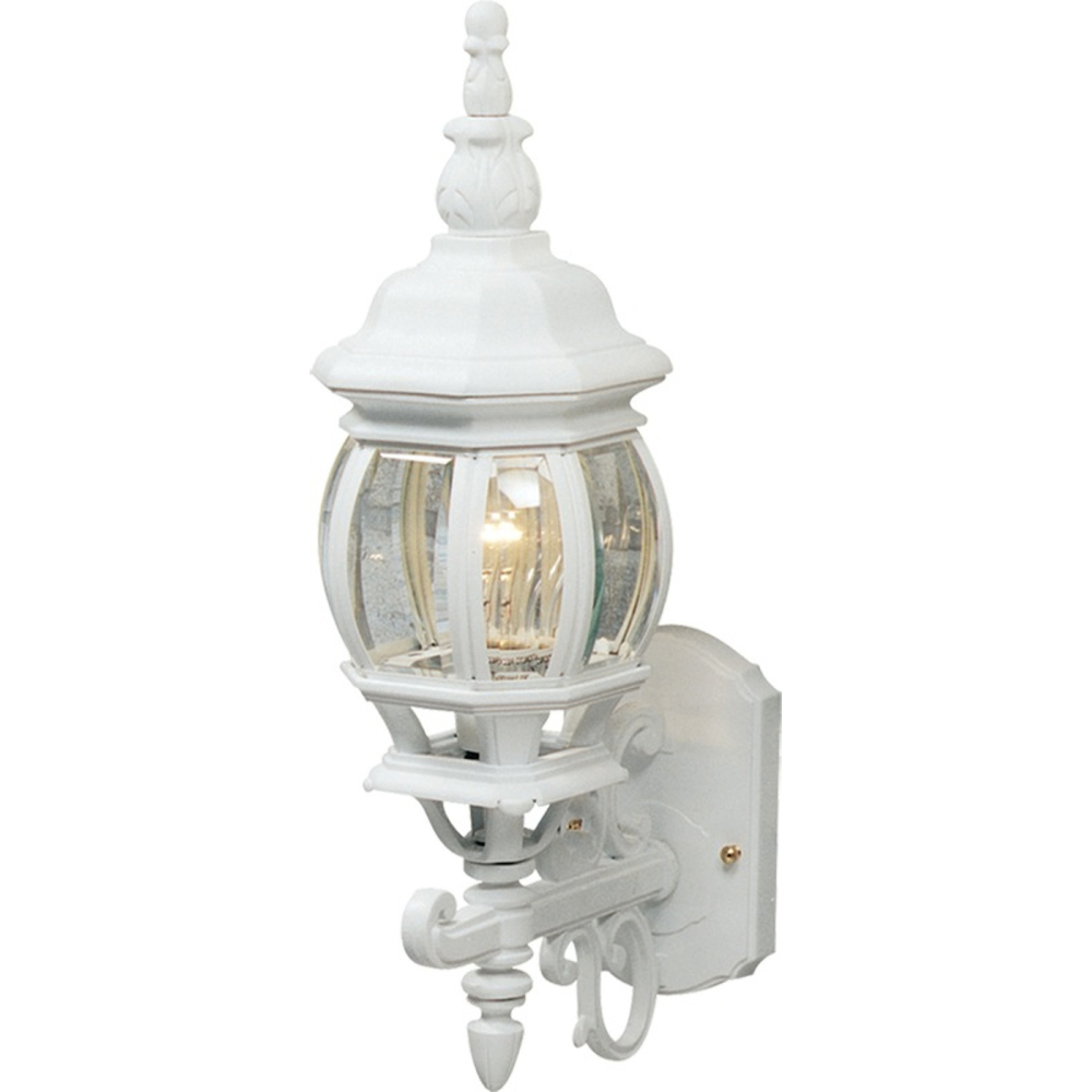 Classico 1-Light Outdoor Wall Light