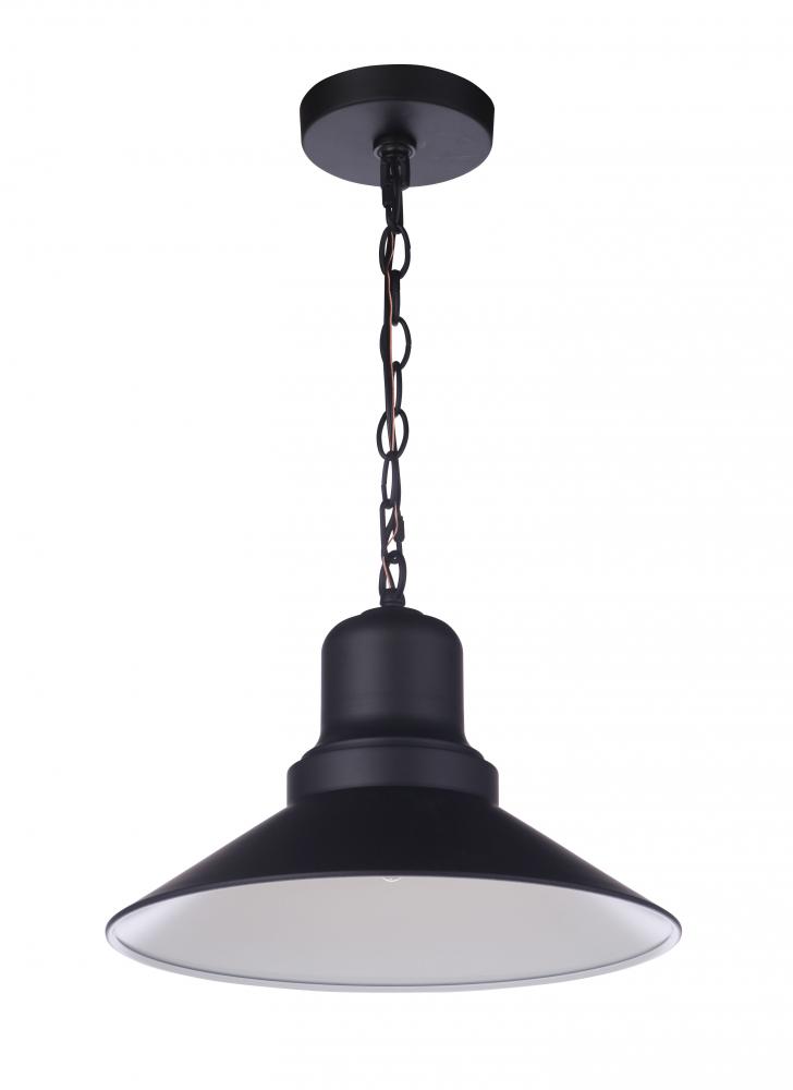 Singleton 1 Light 14" Outdoor Pendant in Midnight