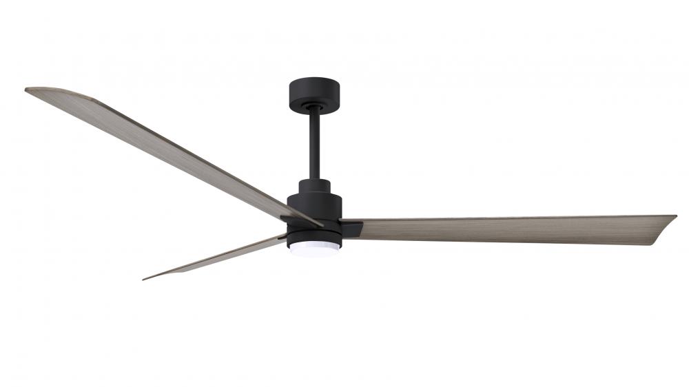 Alessandra 3-blade transitional ceiling fan in matte black finish with gray ash blades. Optimized