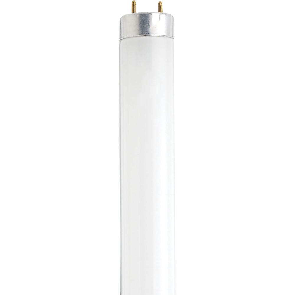 14 Watt; Fluorescent T8; 6500K; Daylight; Medium Bi-Pin (G13) Base