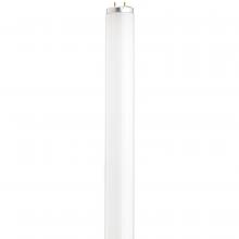 Satco Products Inc. S26561 - 14 Watt; T12 Preheat Fluorescent; 3000K Warm White; 80 CRI; Medium Bi Pin