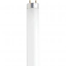 Satco Products Inc. S27931 - 14 Watt; Fluorescent T8; 6500K; Daylight; Medium Bi-Pin (G13) Base