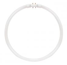 Satco Products Inc. S8156 - 22 Watt; T5; Circline Fluorescent; 3500K Neutral White; 82 CRI; 2GX13 (4-Pin) base