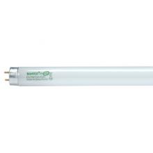 Satco Products Inc. S8430 - 32 Watt; T8; Fluorescent; 6500K Daylight; 85 CRI; Medium Bi Pin base