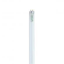 Satco Products Inc. S8445 - 32 Watt; T8; Fluorescent; 4100K Cool White; 82 CRI; Medium Bi Pin base