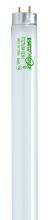 Satco Products Inc. S8449 - 32 Watt; T8; Fluorescent; 4100K Cool White; 85 CRI; Medium Bi Pin base; 6-Pack