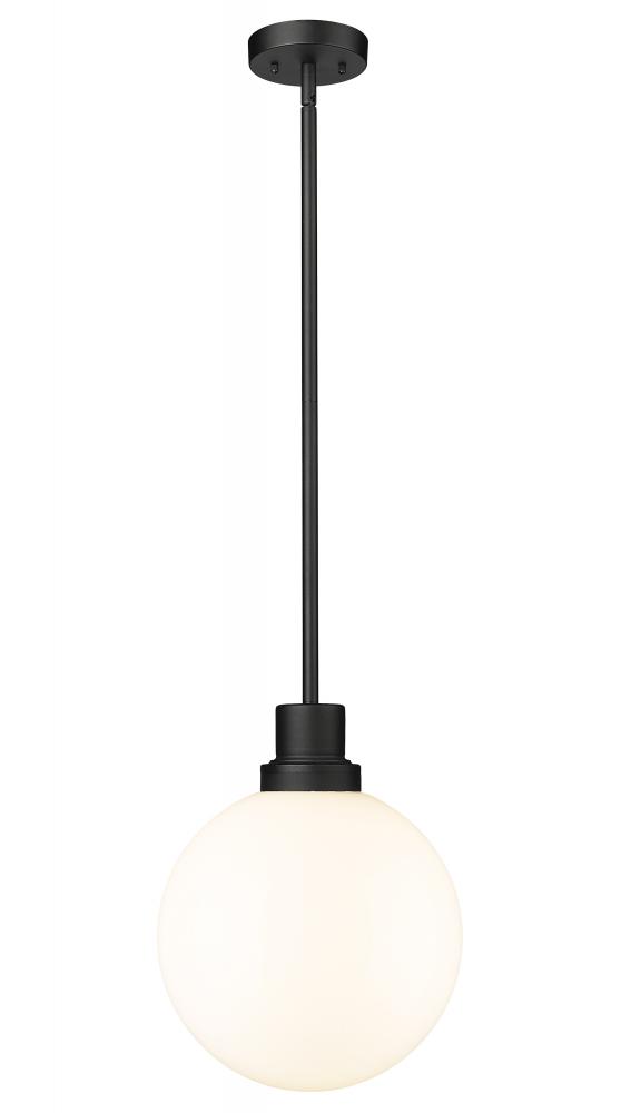 1 Light Outdoor Pendant