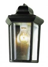 Trans Globe 4483 BG - Rendell 12-In. 1-Light, Beveled Glass Outdoor Pocket Wall Lantern