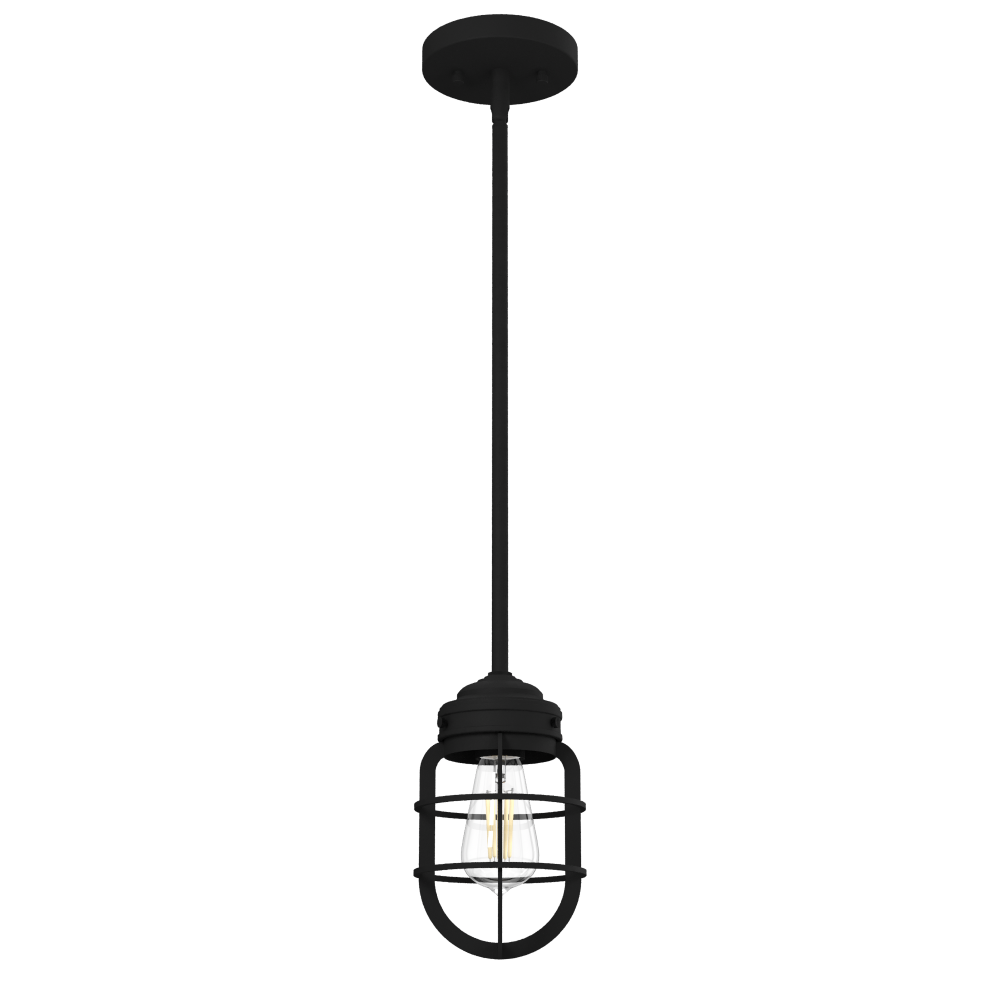 Hunter Starklake Natural Black Iron 1 Light Pendant Ceiling Light Fixture