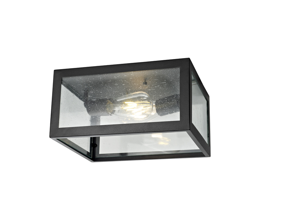 Two Light Outdoor Flush Mount