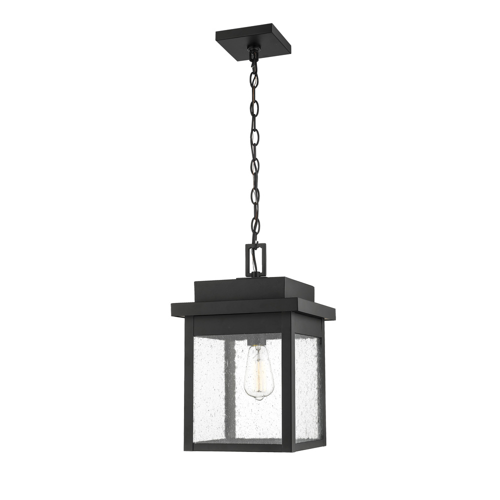 Belle Chasse 1-Light Outdoor Hanging Lantern Powder Coated Black