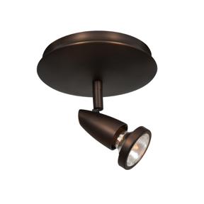 1 Light Adjustable Flush Mount