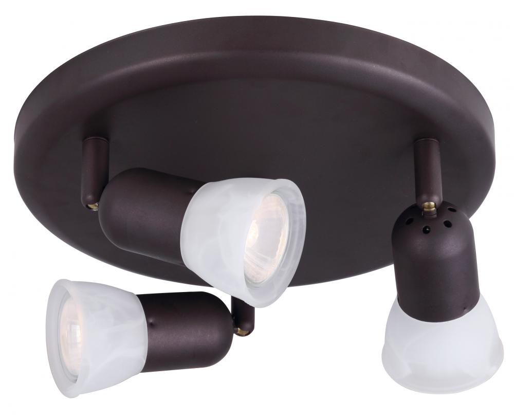 James 1 Light Ceiling Light, Oil Rubbed Bronze Finish