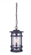 Canarm IOL343BK - Duffy 1 Light Outdoor Lantern, Black Finish