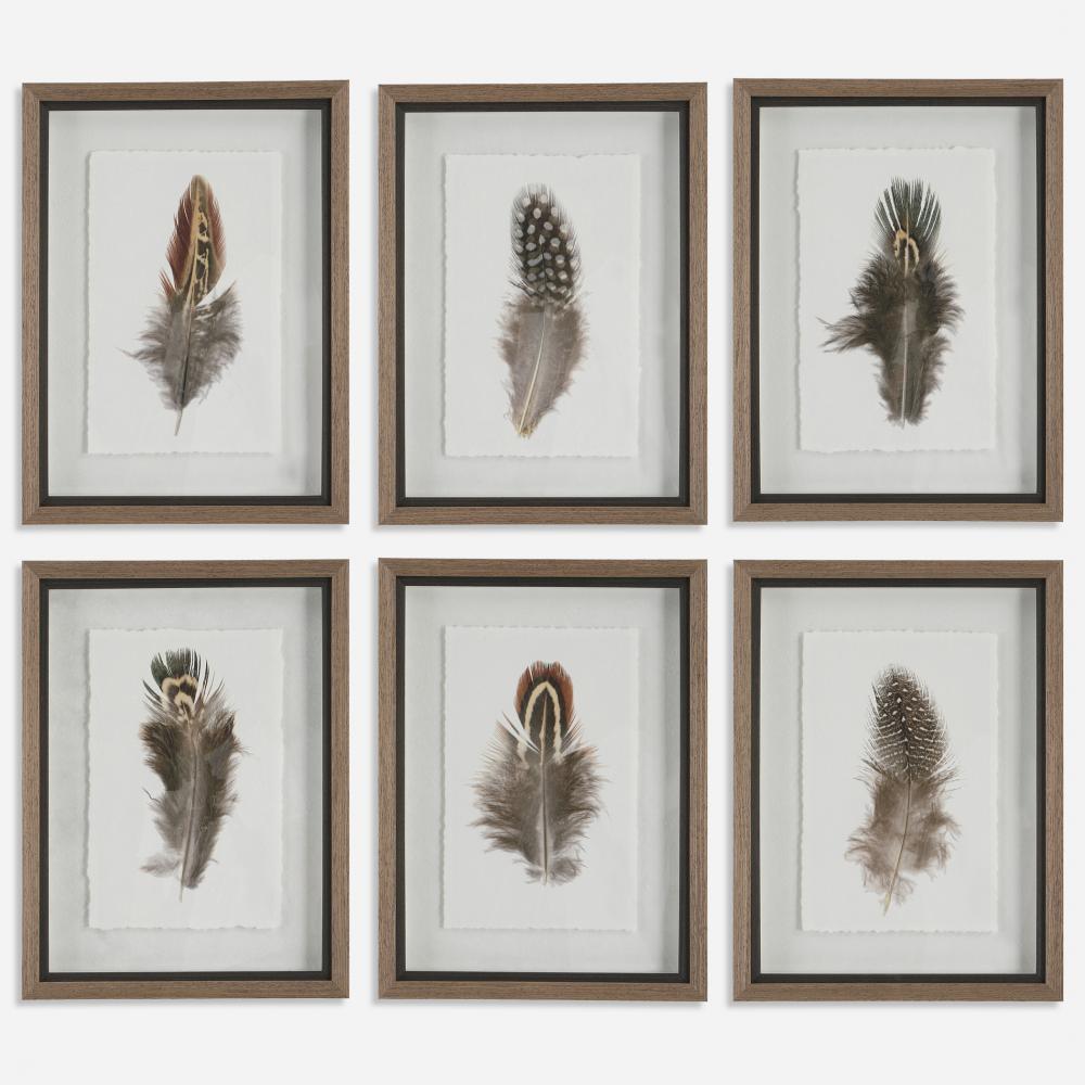 Uttermost Birds Of A Feather Framed Prints, S/6