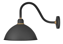  10645TK - Medium Gooseneck Barn Light